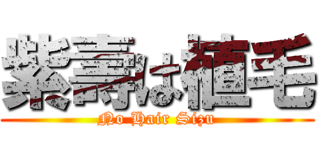 紫壽は植毛 (No Hair Sizu)