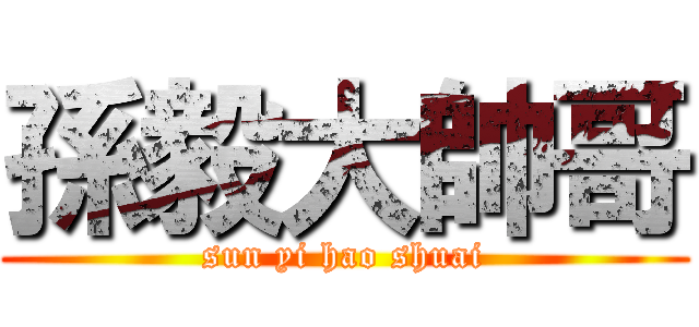 孫毅大帥哥 (sun yi hao shuai)