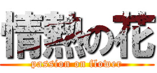 情熱の花 (passion on flower)