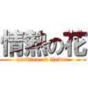 情熱の花 (passion on flower)