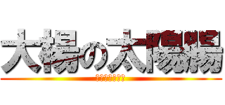 大楊の太陽腸 (幹你名字真難懂)