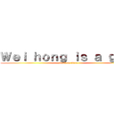 Ｗｅｉ ｈｏｎｇ ｉｓ ａ ｇｉｒｌ (attack on titan)