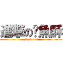 進撃の魷魚酥 (attack on ?)