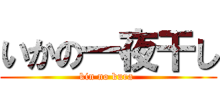 いかの一夜干し (kin no kura )