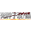 死胖子没节操 (死胖纸)