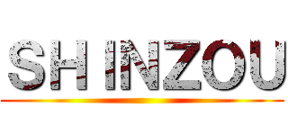 ＳＨＩＮＺＯＵ ()