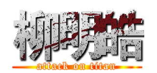 柳明皓 (attack on titan)