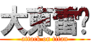 大東雷婷 (attack on titan)