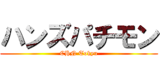 ハンズパチモン (CHN Tokyu)