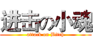 进击の小魂 (attack on Bitch)