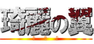 琦麗の翼 (綾    綾    製)