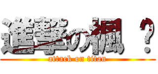 進撃の楓 貓 (attack on titan)