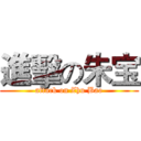 進擊の朱宝 (attack on Zhu Bao)