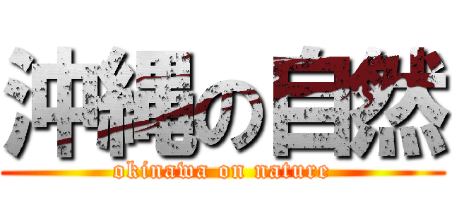 沖縄の自然 (okinawa on nature)