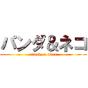 パンダ＆ネコ (attack on titan)