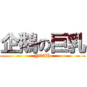 企鵝の巨乳 (YEAH)