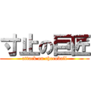 寸止の巨匠 (attack on chocoball)