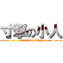 寸撃の小人 (attack on titan)