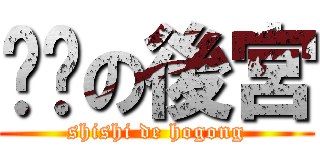 试试の後宮 (shishi de hogong)