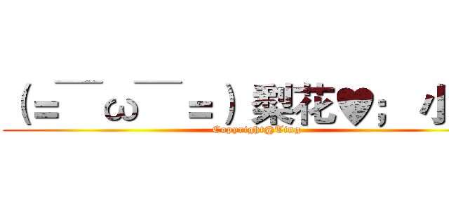 （＝￣ω￣＝）｀梨花♥； 小店  (Copyright@Ting)