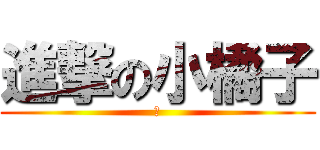 進撃の小橘子 (　)