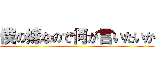 僕の嫁なので何が言いたいか ()