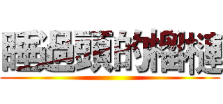 睡過頭的榴槤 ()