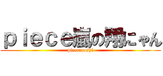ｐｉｅｃｅ嵐の翔にゃん (piecearashi)