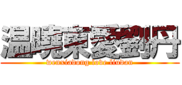 温曉東愛劉丹 (wenxiadong love liudan)