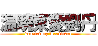 温曉東愛劉丹 (wenxiadong love liudan)