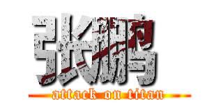 张鹏   (attack on titan)