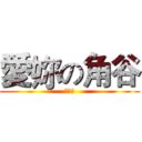 愛妳の角谷 (我愛妳)