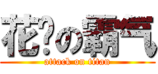 花爷の霸气 (attack on titan)