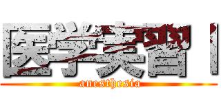 医学実習Ⅰ ( anesthesia)