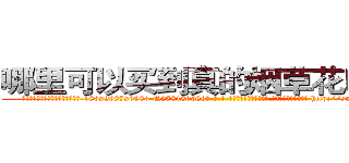 哪里可以买到真的烟草花叶病毒 (哪里可以买到真的烟草花叶病毒【电-186x2687x6963-Q278180069元-吉-药-业】我们做的是长期生意,靠的是老客户长期支持 http://sngk.net/KX015s
)