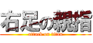 右足の親指 (attack on titan)