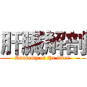 肝臟解剖 (Anatomy of the liver)