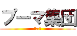 プーマ集団 (ﾌﾟｰﾏ)