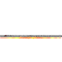 ＿＿＿＿＿＿ (Descrição Física)