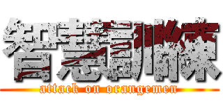 智慧訓練 (attack on orangemen)