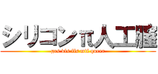 シリコンπ人工膣 (grs vfs ffs mtf queer)