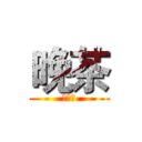 晚茶 (夜お茶)