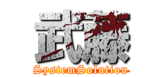 武藤 (SystemSolution)