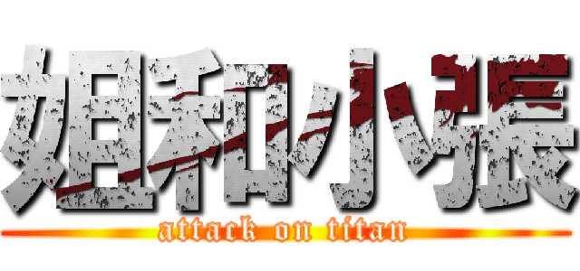 姐和小張 (attack on titan)