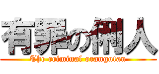 有罪の俐人 (The criminal orangutan)