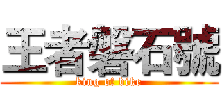 王者磐石號 (king of bike)