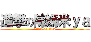 進撃の陳媽米ｙａ (attack on titan)
