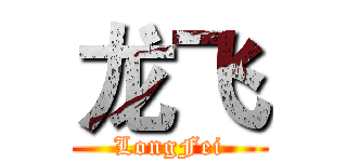 龙飞 (LongFei)