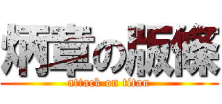 炳章の版條 (attack on titan)