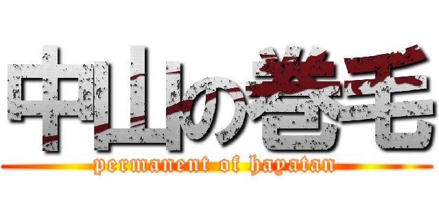 中山の巻毛 (permanent of hayatan)